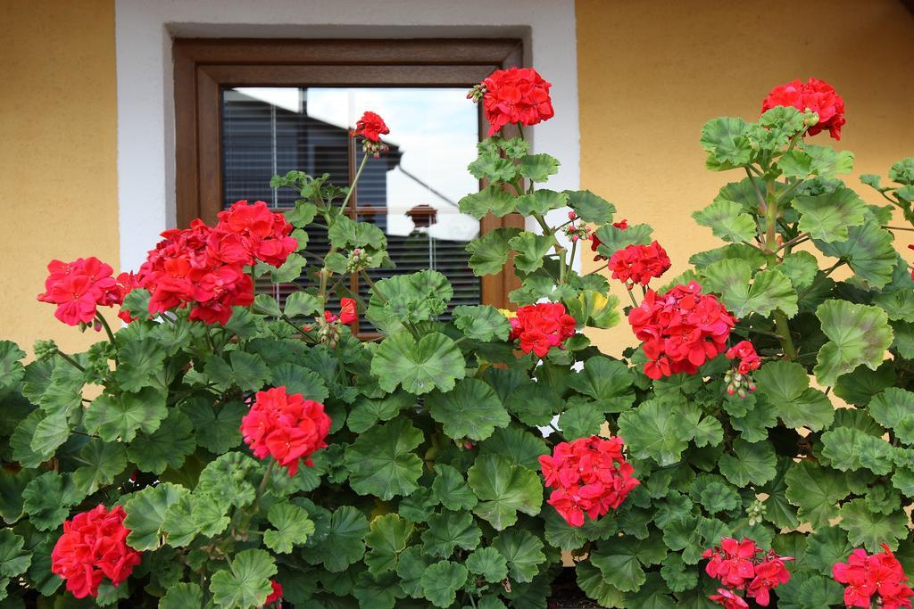 Apartmany Kanianka Bojnice Oda fotoğraf