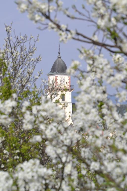 Apartmany Kanianka Bojnice Dış mekan fotoğraf